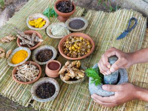 Art Of Healing - Herbs