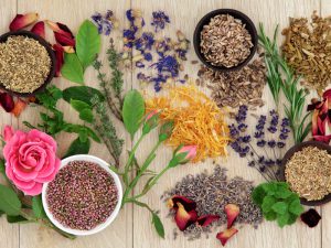 Art Of Healing - Herbal Medicine